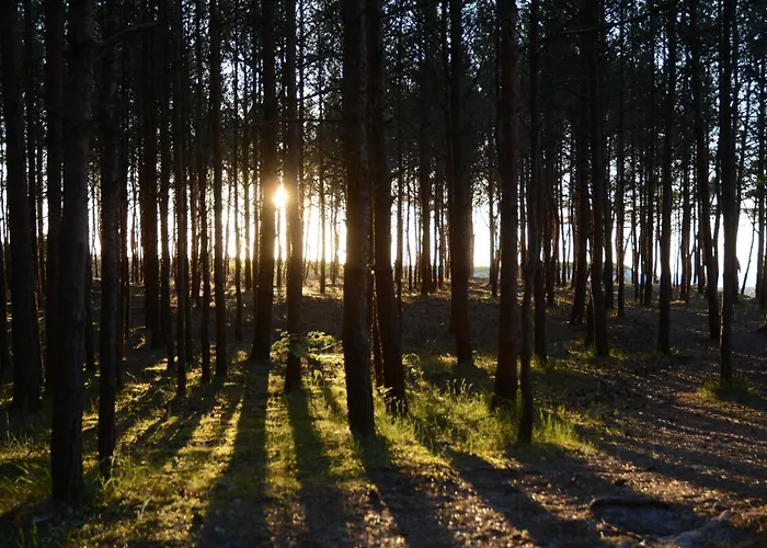 度假村 Dworek Jamnenski 3*